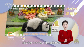 姐妹情室